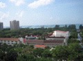 Ocean Park (D15), Condominium #173135002